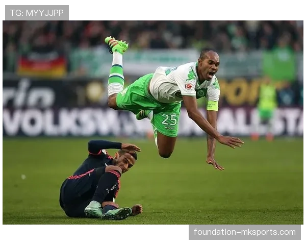 莫利纳右闸首选 莫利纳右闸首选