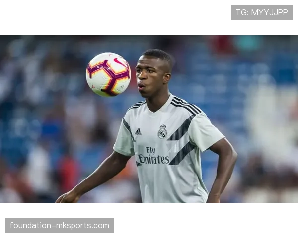 维尼修斯与罗比尼奥早期模板相似度及风格差异解析 维尼修斯与罗比尼奥早期模板相似度及风格差异解析